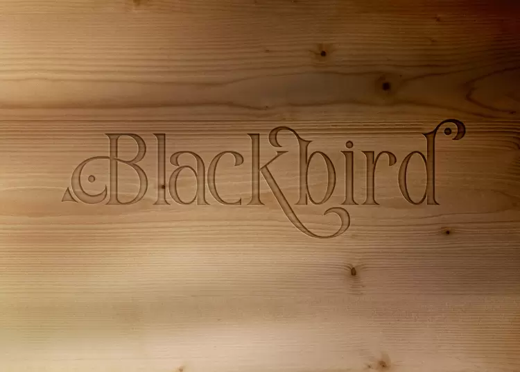 BLACK-BIRD艺术字