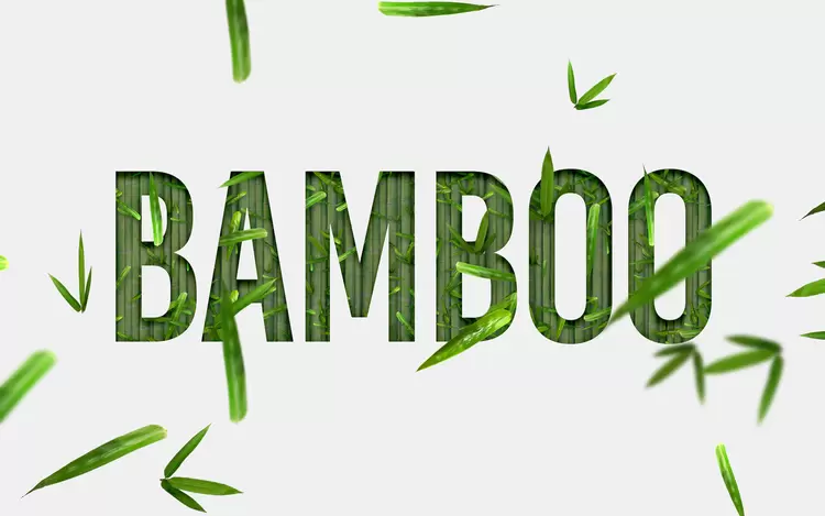BAMBOO艺术字