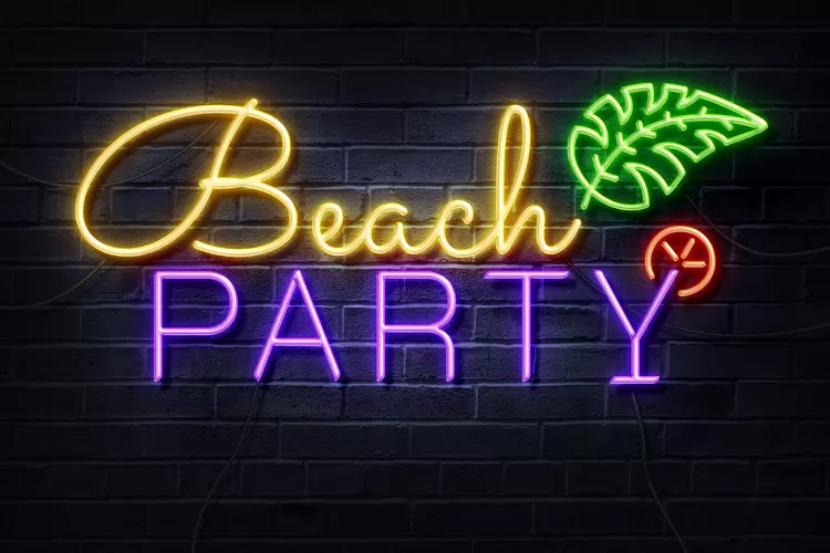 BEACH-PARTY艺术字