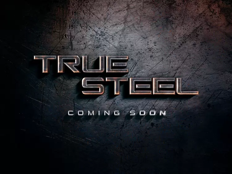 TRUE-STEEL艺术字