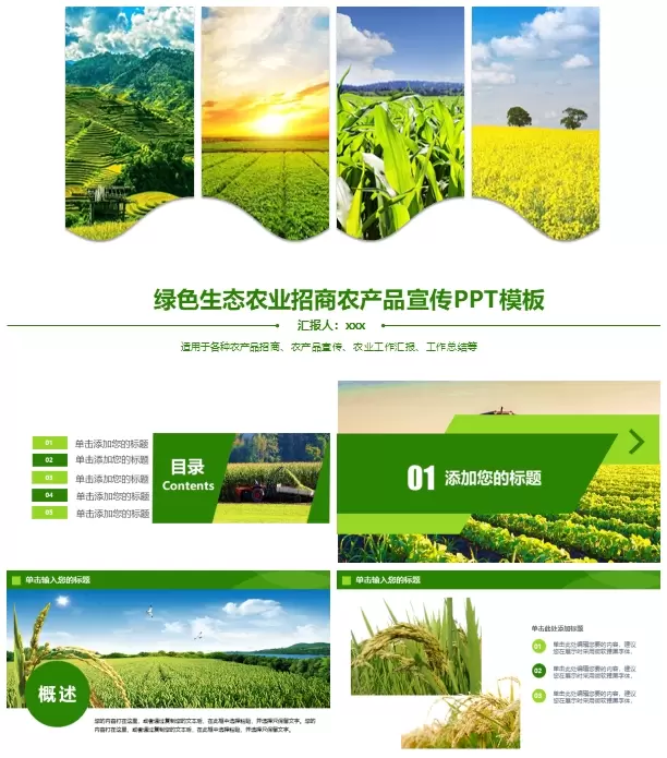 绿色生态农业招商农产品宣传 PowerPoint模板