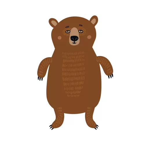 森林动物-熊插图