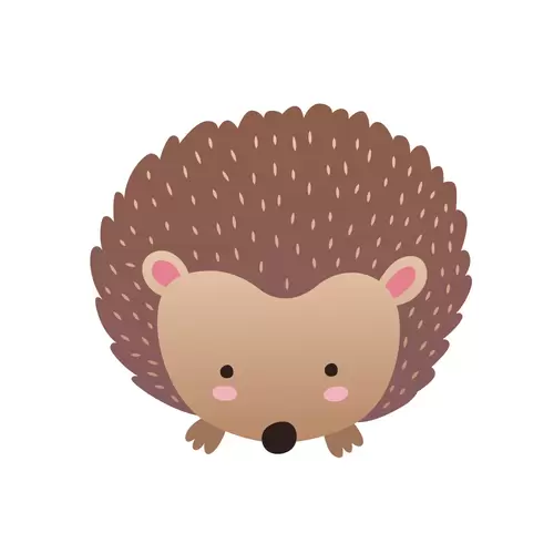 森林动物-刺猬插图