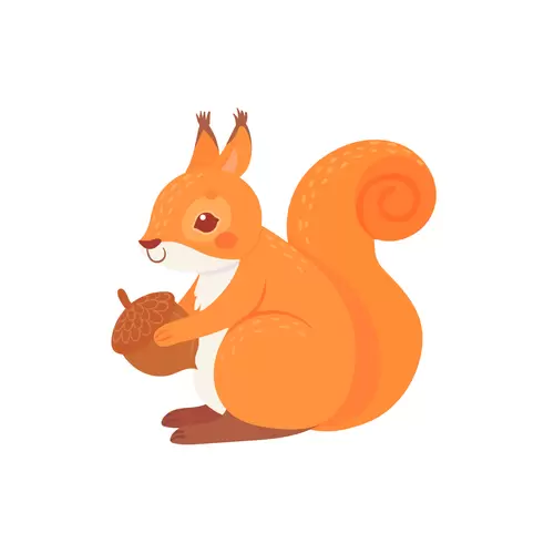 小松鼠-松子插图