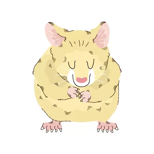 卡通动物-仓鼠插图