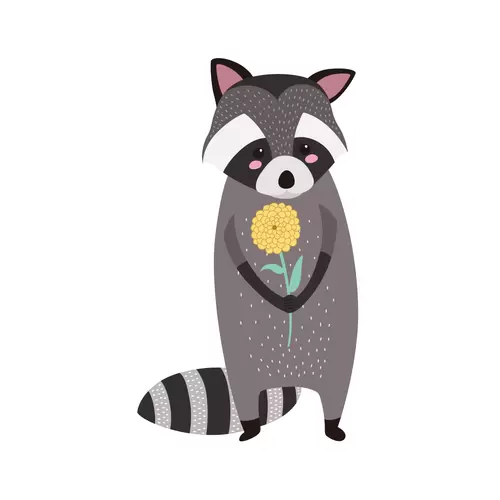 森林动物-小浣熊插图