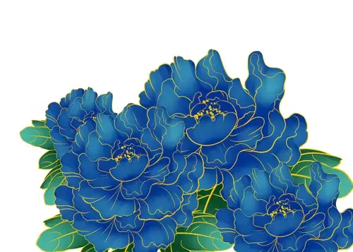 蓝色牡丹花插图