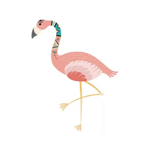 森林动物-火烈鸟插图