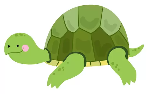 动物-乌龟-爬行插图