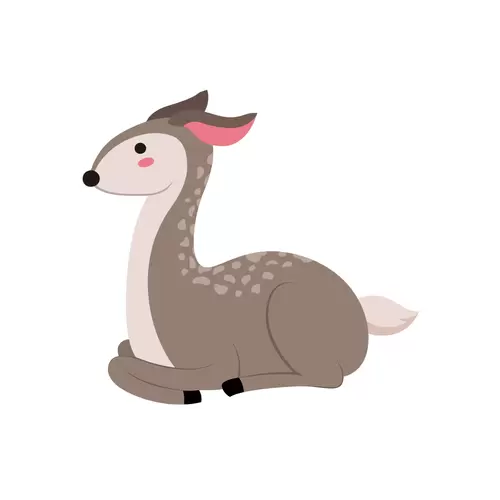 森林动物-梅花鹿插图