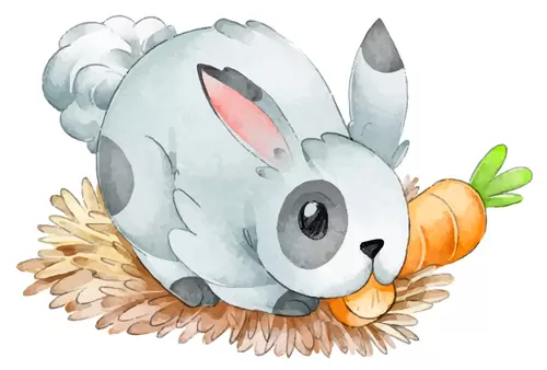 动物-吃红萝卜的兔子插图