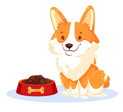 动物-狗-吃饭插图