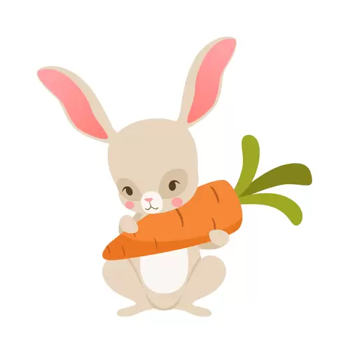 可爱兔子-红萝卜插图