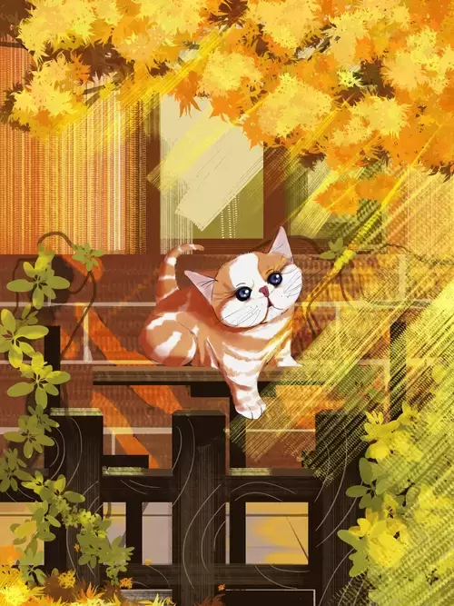 立秋-午后的猫插图