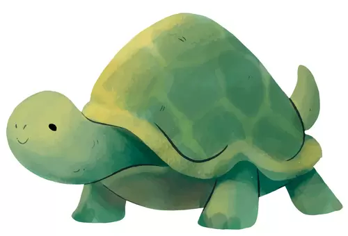 动物-乌龟-爬行动物插图