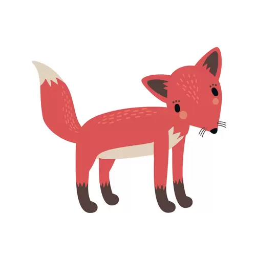 森林动物-红狐插图