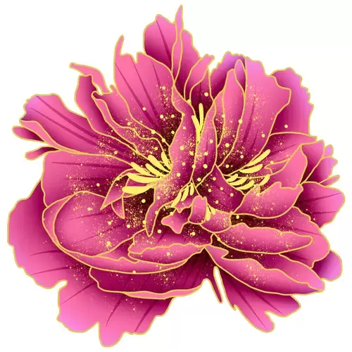 紫色牡丹花插图
