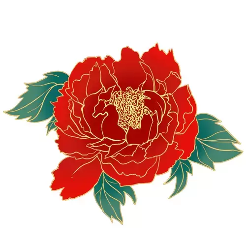 红牡丹花插图