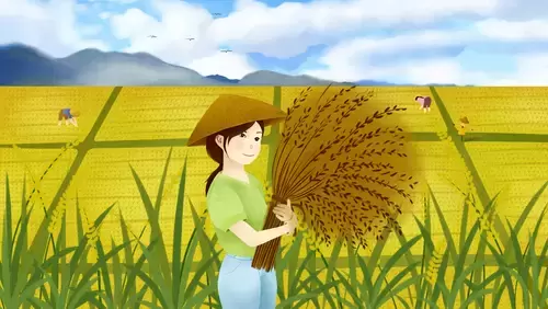 劳动节-田间农作的姐姐插图