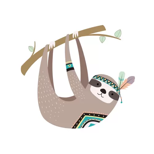 森林动物-考拉插图