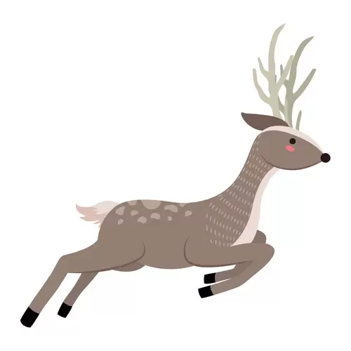 森林动物-奔跑的梅花鹿插图