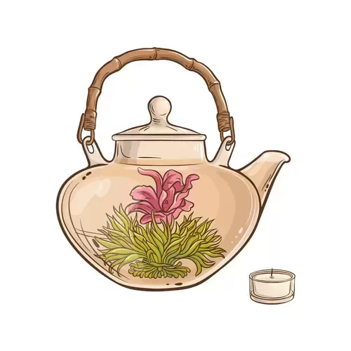 茶具插图-玻璃茶壶插图