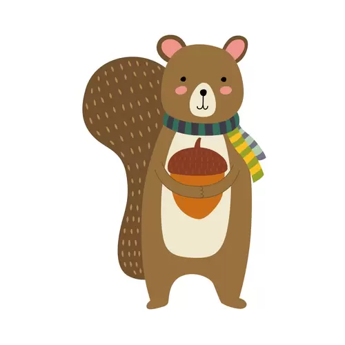 森林动物-松鼠插图