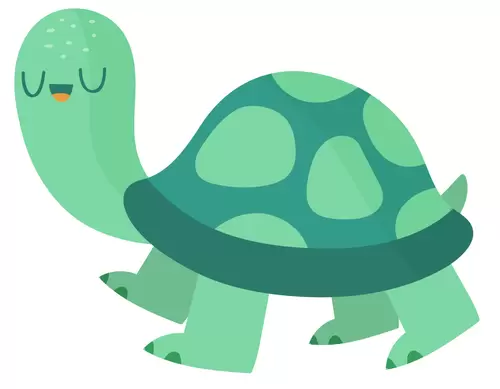 动物头像-乌龟插图