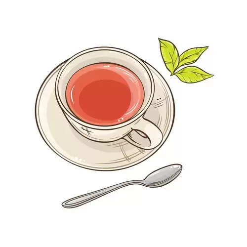 茶具插图-红茶杯插图