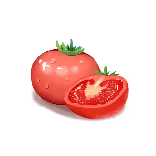 蔬菜-西红柿插图