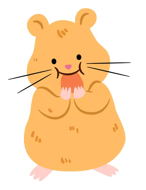 动物-可爱鼠插图