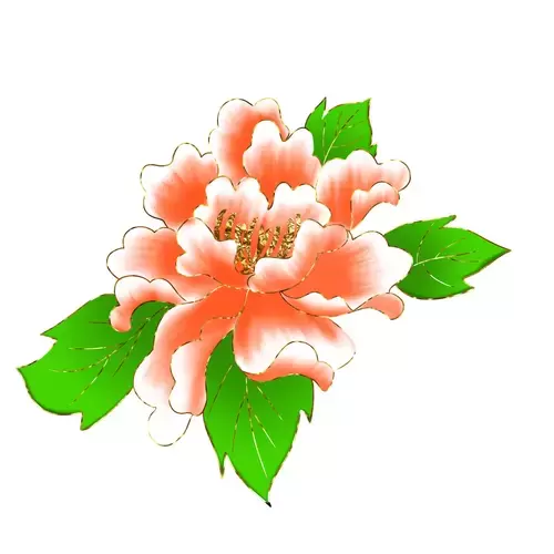 牡丹花插图