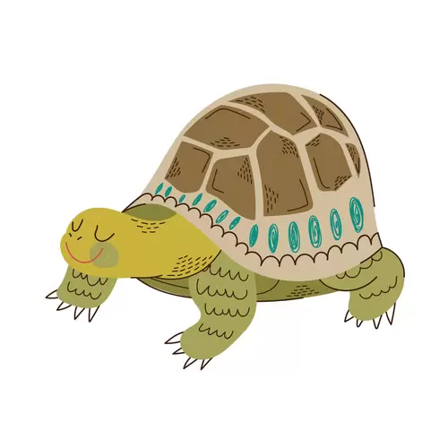 卡通动物-乌龟插图
