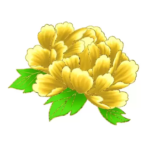 黄牡丹花插图