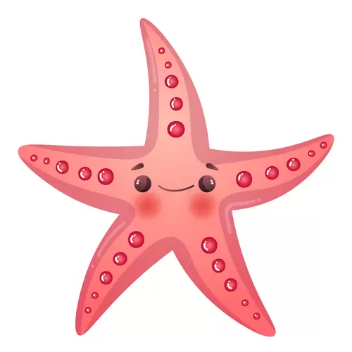 海洋动物-海星插图