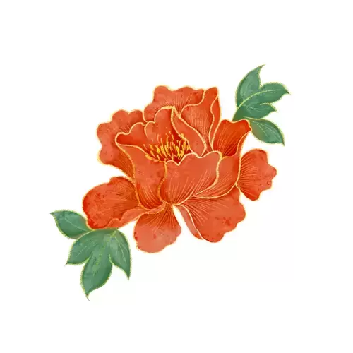 红牡丹花插图