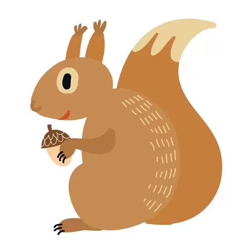 森林动物-开心的松鼠插图