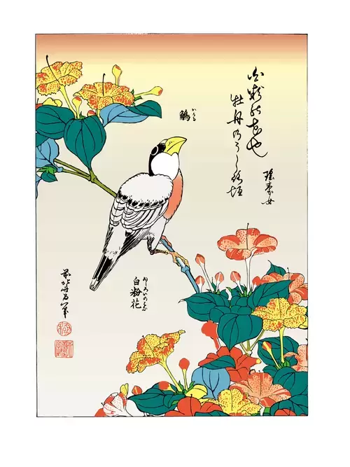 日本浮世绘插图