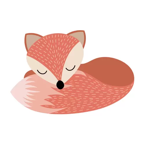 森林动物-睡觉的狐狸插图