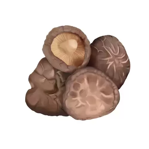 蔬菜-香菇插图
